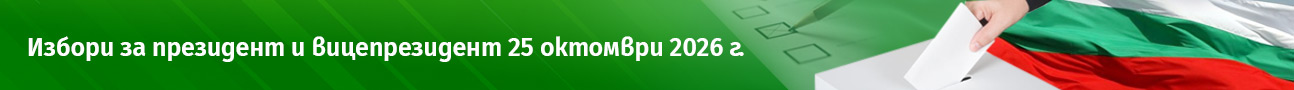 Избори за президент и вицепрезидент 25 октомври 2026 г.