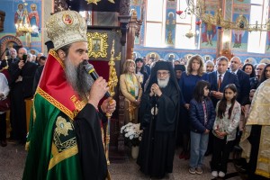 Изображение 1071