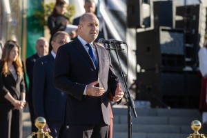 Изображение 1130