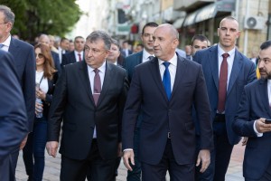 Изображение 1131